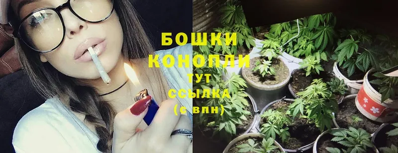 хочу   Алупка  Конопля SATIVA & INDICA 